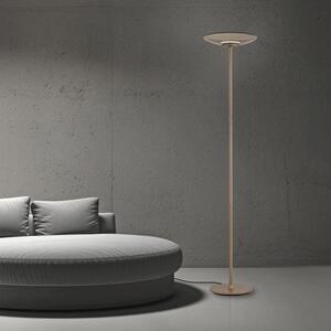 Paul Neuhaus Stojací LED lampa PURE MOON 23,5W, v. 180 cm, 2700K stmívatelná