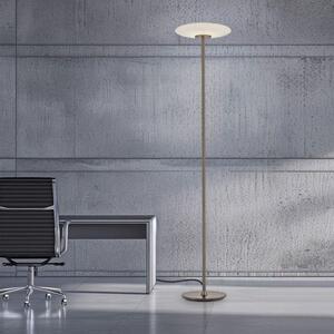 Paul Neuhaus Stojací LED lampa PURE Vitrum, 18W, v. 180 cm, 2700K Barva: Hnědá
