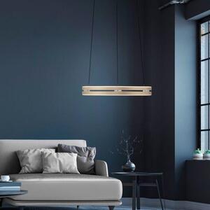 Paul Neuhaus Závěsné LED svítidlo PURE E-Loop, 50W, ø 50 cm, 2700-5000K Barva: Mosaz