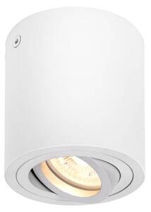 LA 1002011 TRILEDO CL, vnitřní stropní nástavbové svítidlo, QPAR51, bílá, max. 10W - BIG WHITE (SLV)