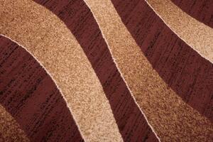 Moderní kusový koberec CHAPPE CH0730 - 200x300 cm