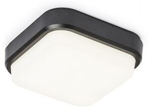 RED R12525 TARIS SQ 17 přisazená černá 230V LED 8W IP54 3000K - RED - DESIGN RENDL
