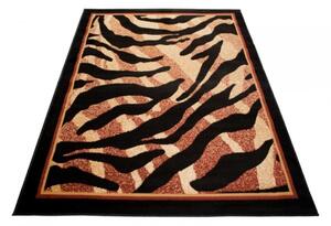 Moderní kusový koberec CHAPPE CH1240 - 160x230 cm
