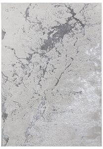 Šedý koberec Beethoven Solar Rozměry: 80x150 cm