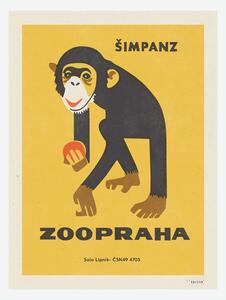Retro plakát ZOO Praha - Šimpanz
