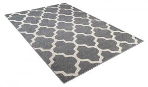 Luxusní kusový koberec MOROKO MR0010 - 240x330 cm