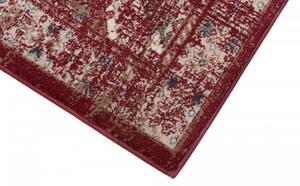 Luxusní kusový koberec Dubi DB0040 - 300x400 cm
