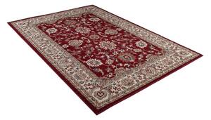 Luxusní kusový koberec Dubi DB0100 - 250x350 cm
