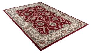 Luxusní kusový koberec Dubi DB0120 - 120x170 cm
