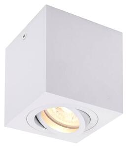 LA 1002015 TRILEDO Single, stropní nástavbové svítidlo, QPAR51, bílá, max. 10W - BIG WHITE (SLV)