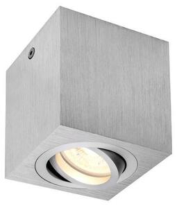 LA 1002004 TRILEDO Single, stropní nástavbové svítidlo, QPAR51, kartáčovaný hliník, max. 10W - BIG WHITE (SLV)
