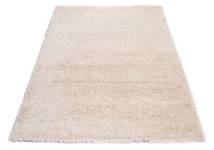 Luxusní kusový koberec SHAGGY OPTIMA OP0070 - 160x220 cm