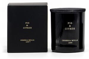 Cereria Mollá Vonná svíčka Fig & Citrus, 230 g, černá 5547