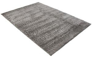 Exkluzivní kusový koberec SHAGGY PORTE-V VS0030 - 120x170 cm