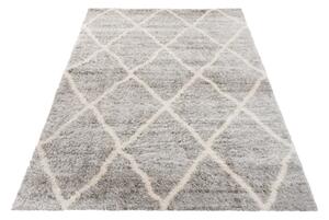 Exkluzivní kusový koberec SHAGGY PORTE-V VS0090 - 160x230 cm
