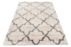 Exkluzivní kusový koberec SHAGGY PORTE-V VS0060 - 200x300 cm