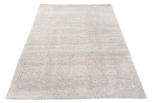 Exkluzivní kusový koberec SHAGGY PORTE-V VS0050 - 140x200 cm