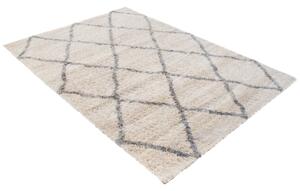 Exkluzivní kusový koberec SHAGGY PORTE-V VS0080 - 120x170 cm