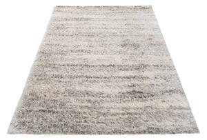Exkluzivní kusový koberec SHAGGY PORTE-V VS0250 - 140x200 cm