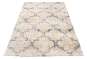 Exkluzivní kusový koberec SHAGGY PORTE-V VS0290 - 80x150 cm
