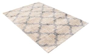 Exkluzivní kusový koberec SHAGGY PORTE-V VS0290 - 80x150 cm