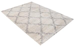 Exkluzivní kusový koberec SHAGGY PORTE-V VS0350 - 120x170 cm