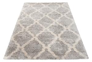 Exkluzivní kusový koberec SHAGGY PORTE-V VS0360 - 120x170 cm