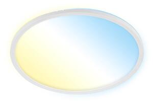 LED stropní svítidlo Slim S stmívatelné CCT bílé Ø 29 cm