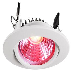 IMPR 565335 Deko-Light stropní vestavné svítidlo COB 68 RGBW 24V DC 8,5W 500 lm bílá