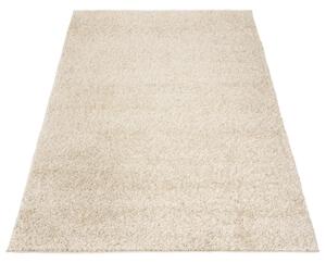 Exkluzivní kusový koberec SHAGGY PORTE-S SH0010 - 70x300 cm