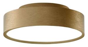 Stropní Lampa LIGHT-POINT, stmívatelné, Zlatá / mosazná, Obývací pokoj, Hliník