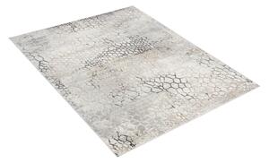 Luxusní kusový koberec Cosina Land PT0210 - 200x300 cm
