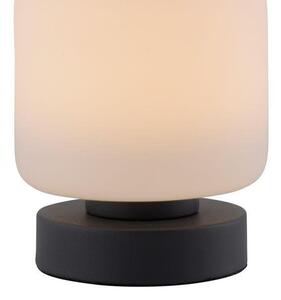 Paul Neuhaus Stolní LED lampa BOTA, 7W, v.15,5 cm, 3000K stmívatelná, dotykový stmívač Barva: Antracit