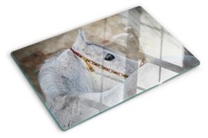 Skleněné krájecí prkénko Bílý mladý kůň ddk-nr-wm-00005648