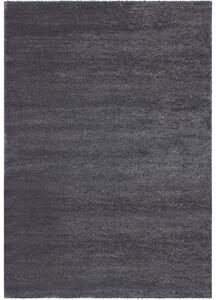 LALEE Kusový koberec SOFTTOUCH 700/grey BARVA: Šedá, ROZMĚR: 120x170 cm