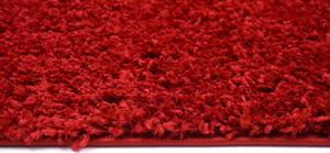 Exkluzivní kusový koberec SHAGGY PORTE-T TK0020 - 60x200 cm