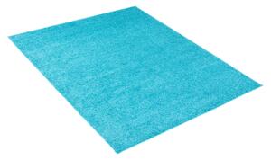 Exkluzivní kusový koberec SHAGGY PORTE-T TK0000 - 70x200 cm
