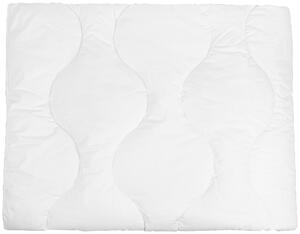 PROŠÍVANÁ PŘIKRÝVKA, 135/200 cm, duté vlákno - Přikrývky, Online Only