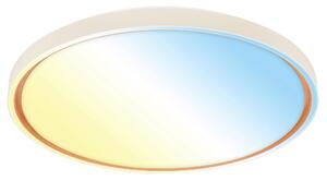 STROPNÍ LED SVÍTIDLO, 49,5/6,5 cm - Stropní svítidla