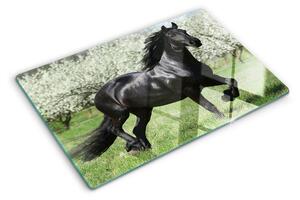 Skleněná deska do kuchyně Černý kůň na louce ddk-nr-wm-00005694