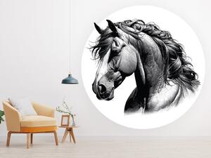 Silueta hlavy koně arch 100 x 100 cm