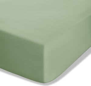 Zelené napínací perkálové prostěradlo 90x190 cm Easy Iron Percale – Catherine Lansfield