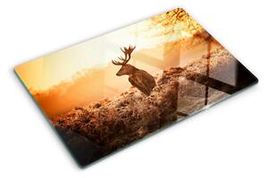 Skleněná krájecí deska Jelen na pozadí západu slunce ddk-nr-wm-00005726