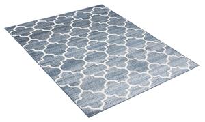 Moderní kusový koberec CARLET AMMI CM0020 - 140x200 cm