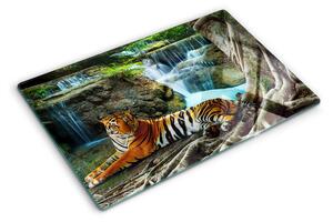Skleněná krájecí deska Tygr v jeho přirozeném prostředí ddk-nr-wm-00005742