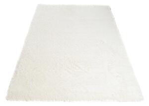 Lehký měkký kusový koberec SHAGGY SKANDY SD0060 - 80x150 cm