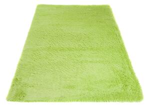 Lehký měkký kusový koberec SHAGGY SKANDY SD0130 - 200x300 cm