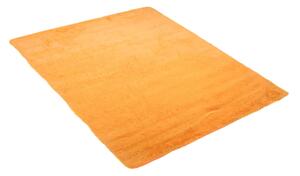 Lehký měkký kusový koberec SHAGGY SKANDY SD0120 - 160x230 cm
