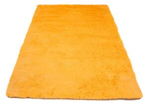 Lehký měkký kusový koberec SHAGGY SKANDY SD0120 - 80x150 cm
