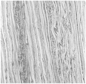 AKUSTICKÝ PANEL velikost: 52/52/0.7 cm Jangal - Online Only tapety, Online Only